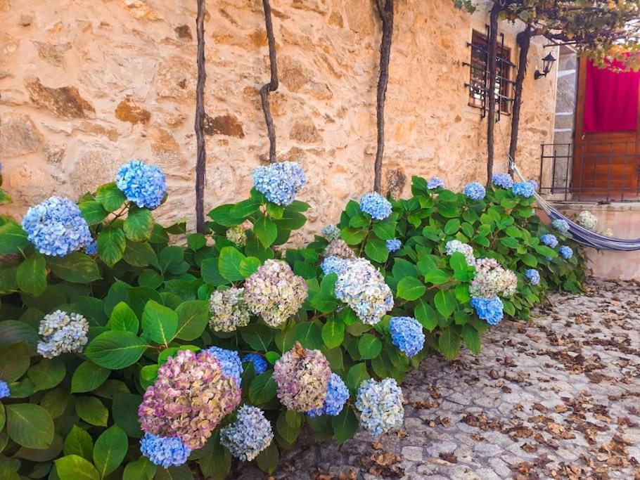 Quintinha De Santiago Villa Oliveira de Azemeis Ngoại thất bức ảnh