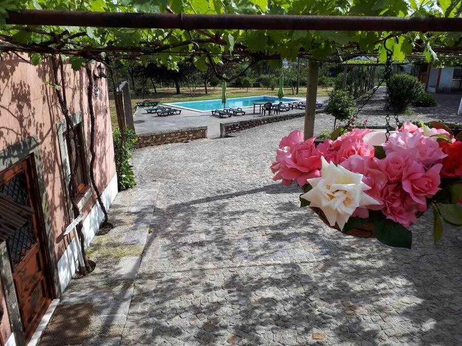 Quintinha De Santiago Villa Oliveira de Azemeis Ngoại thất bức ảnh